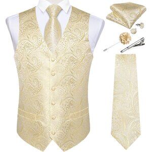 Mens Vest and Tie Set -  Champagne Paisley